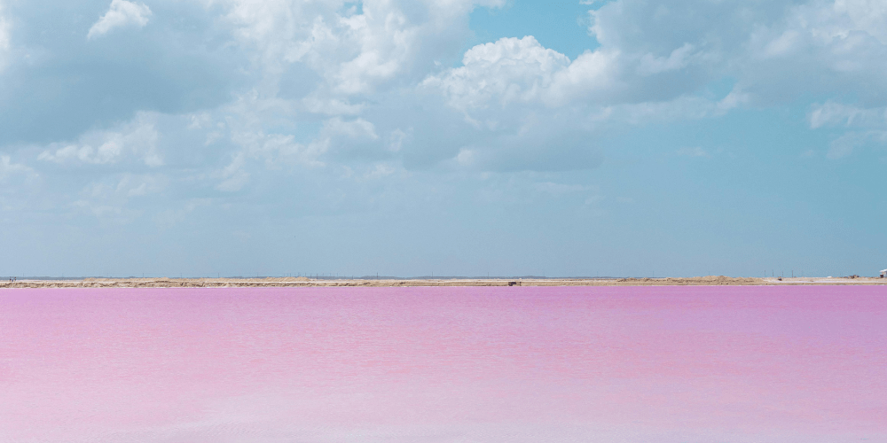 El Misterio del Agua Rosa de Las Coloradas, Yucatán: Una Maravilla&nbsp;Natural